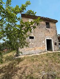 Terreno agricolo 6000 mq con fabbricato rurale