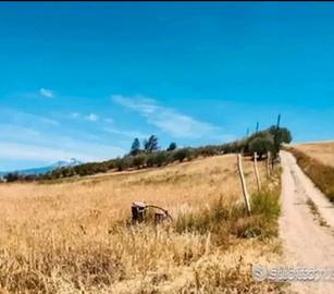 Terreno Agricolo Con Casa Vendoo Ramacca