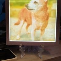 Quadro luminoso con foto personalizzata 3D