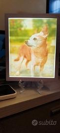 Quadro luminoso con foto personalizzata 3D