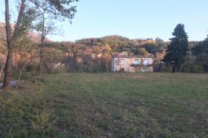 Casa rurale più terreno agricolo
