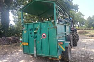 Rimorchio agricolo cassone, trasporto animali vivi