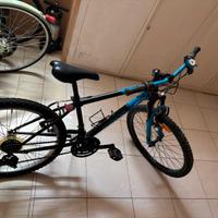 Bicicletta per ragazzo raggio 26