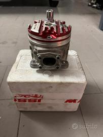 Gruppo termico malossi