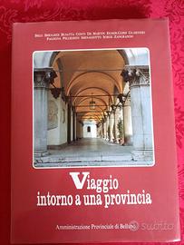 Viaggio intorno a una provincia. BELLUNO