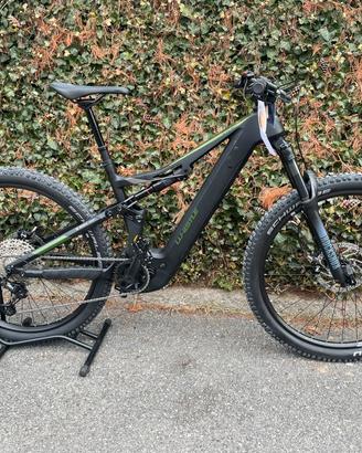 Whistle B-Rush CA 6.5 Promo