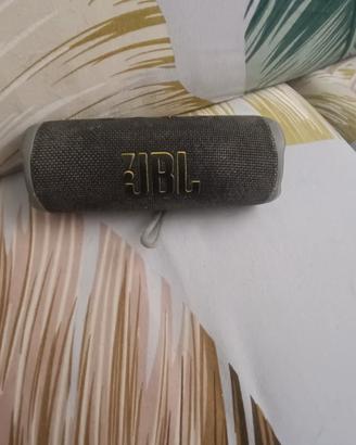 jbl flip 6