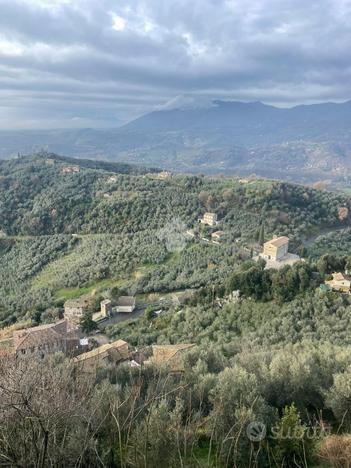 2 LOCALI A OLEVANO ROMANO