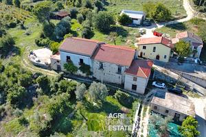 Cassino (FR) - Tenuta agricola di 14,5 HA | TR437