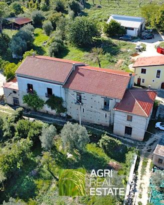 Cassino (FR) - Tenuta agricola di 14,5 HA | TR437