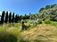 Immagine 27