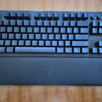 Razer Huntsman V3 Pro TKL + BlackShark V2 Pro