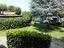 Immagine 23