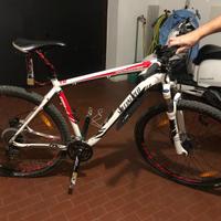 Specialized rockhopper 29