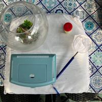 KIT per PESCI da casa