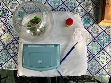 KIT per PESCI da casa