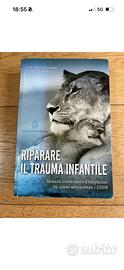 Manuale teorico clinico sistemi motivazionali EMDR