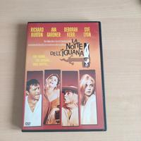 La notte dell'iguana 