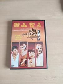 La notte dell'iguana 