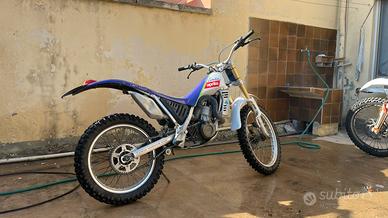 Aprilia climber