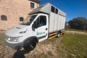 Van Parente B trasporto animali vivi - Cavalli