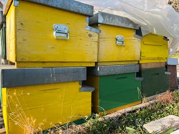 Arnie e meleri usati