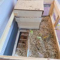 gabbia artigianale per animali domestici 