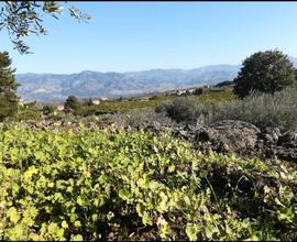 Terreno agricolo solicchiata