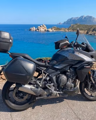 TRIUMP TIGER 800 SPORT