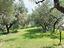 Immagine 28