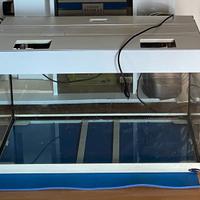 Acquario dubai cm 80 x 36 x h 50