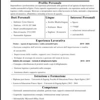 Settore automobilistico