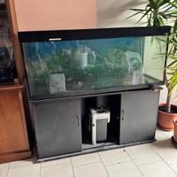Acquario con mobile 450 litri