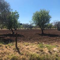 Terreno agricolo in Bari