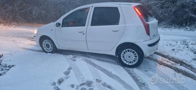 fiat punto.