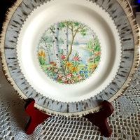 2 piatti Royal Albert originali