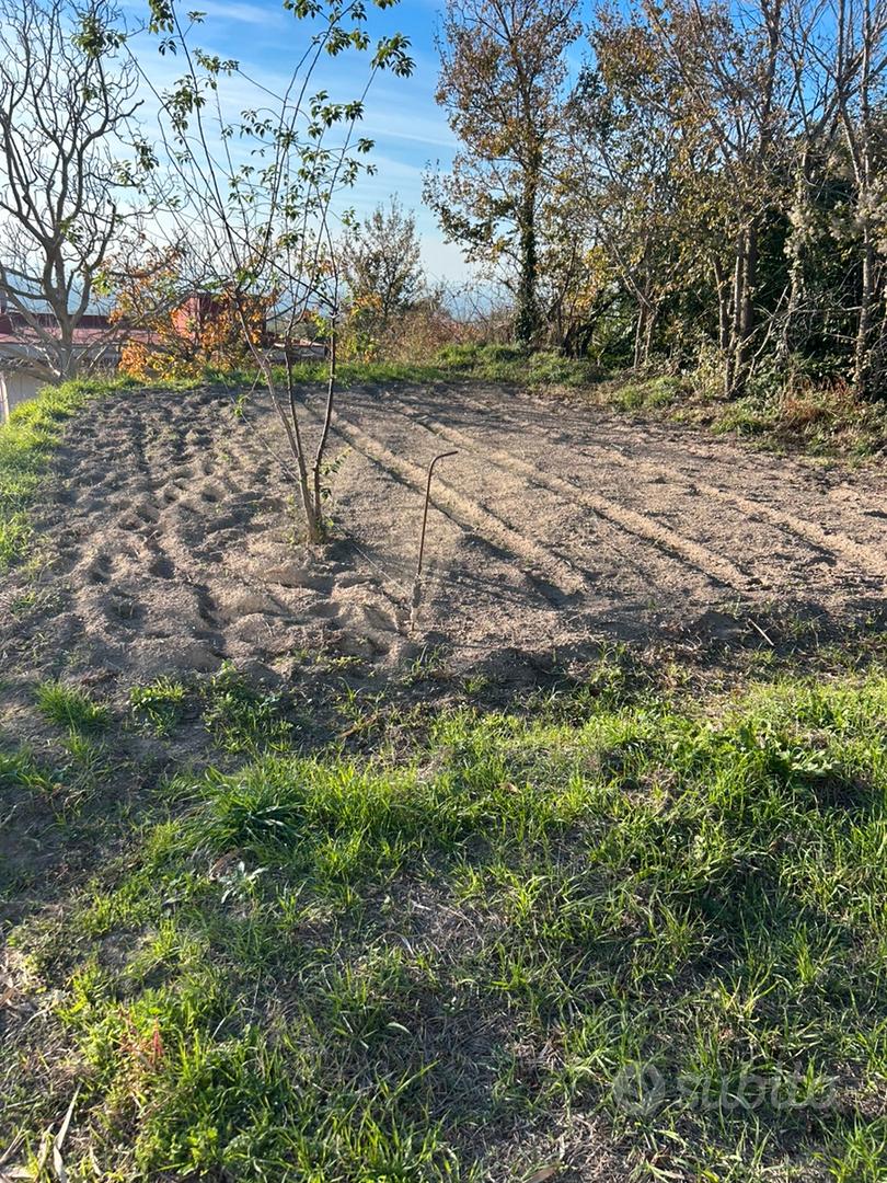 Terreno agricolo - Vista 4