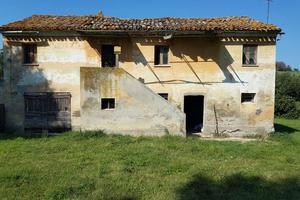 COLONICA MARCHIGIANA