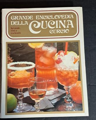 Vini e Bevande Cocktail Curcio editore