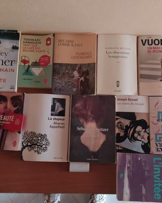Lotto 12 Romanzi Francesi Moderni Gallimard Pocket