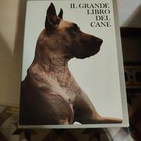 Grande libro del cane