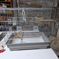 Gabbia per pappagalli e uccellini