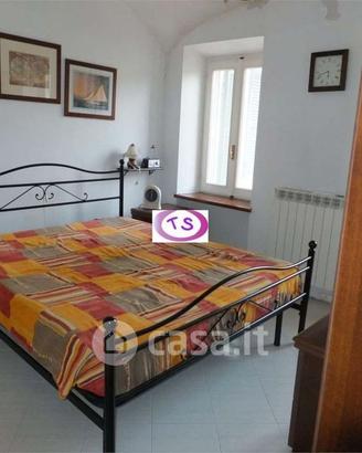 Condivisione bilocale con donna