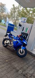 Honda CBR 600RR