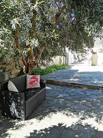 Vacanze al mare di Orosei