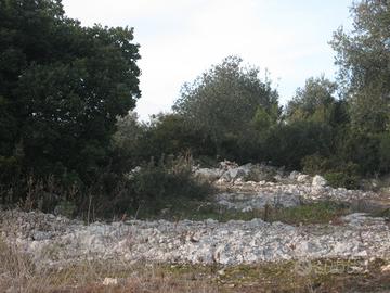 Terreno con progetto di casa a zero emissioni