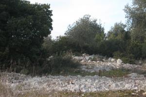 Terreno con progetto di casa a zero emissioni