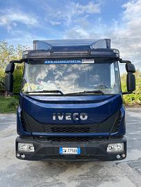 Van trasporto cavalli