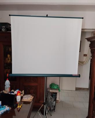 telo per vedere video all aperto 