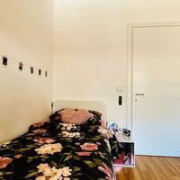 Stanza singola disponibile in centro da settembre